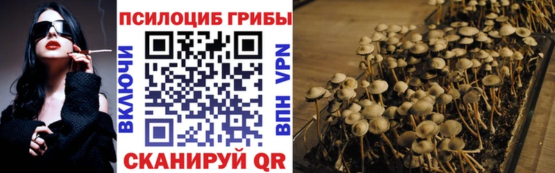 Купить  Новокубанск  Псилоцибиновые грибы GOLDEN TEACHER 